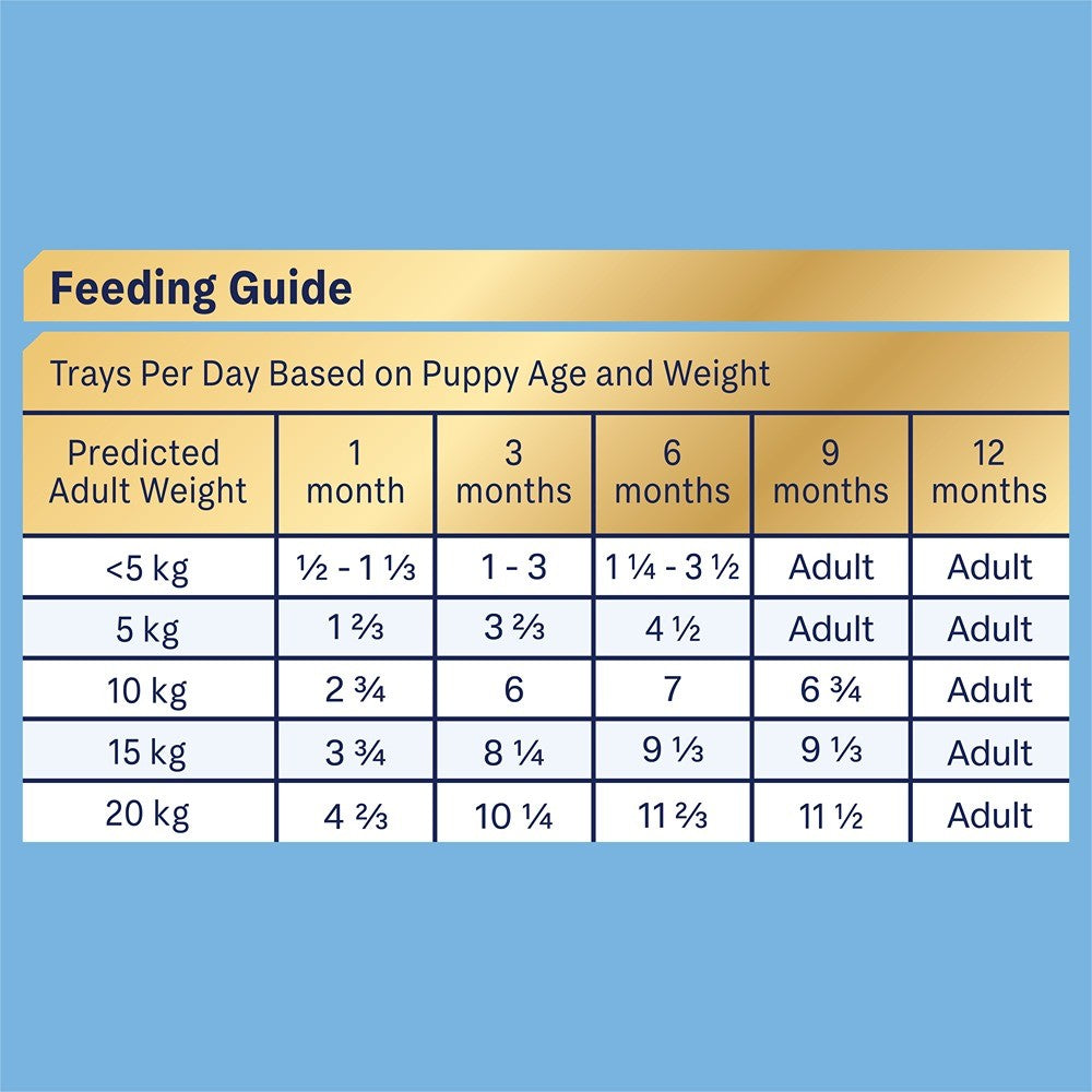 Advance Oodles Puppy Turkey & Rice Wet Dog Food