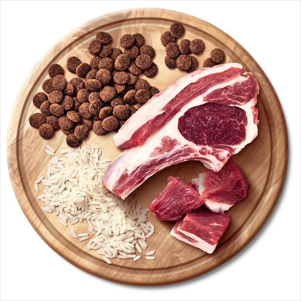 Advance Adult Lamb & Rice Dry Dog Food