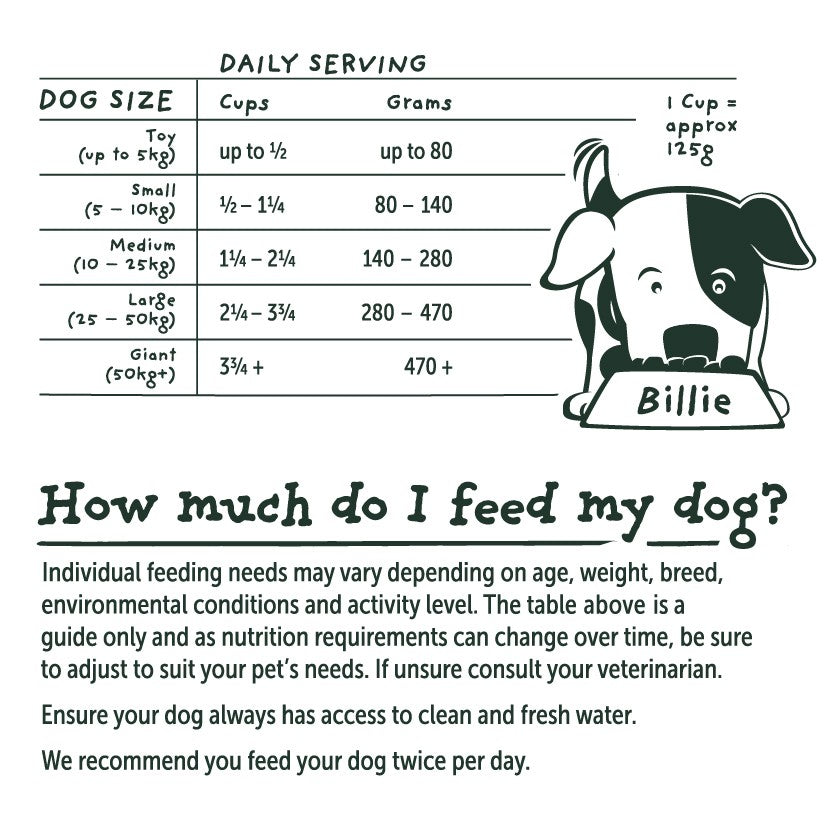 Billie's Bowl Senior with Aussie Fish Dry Dog Food