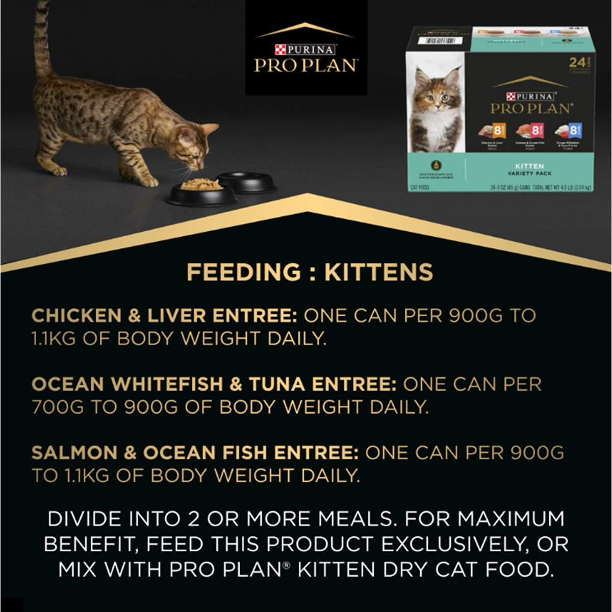 Pro Plan Kitten Mixed Variety Wet Cat Food