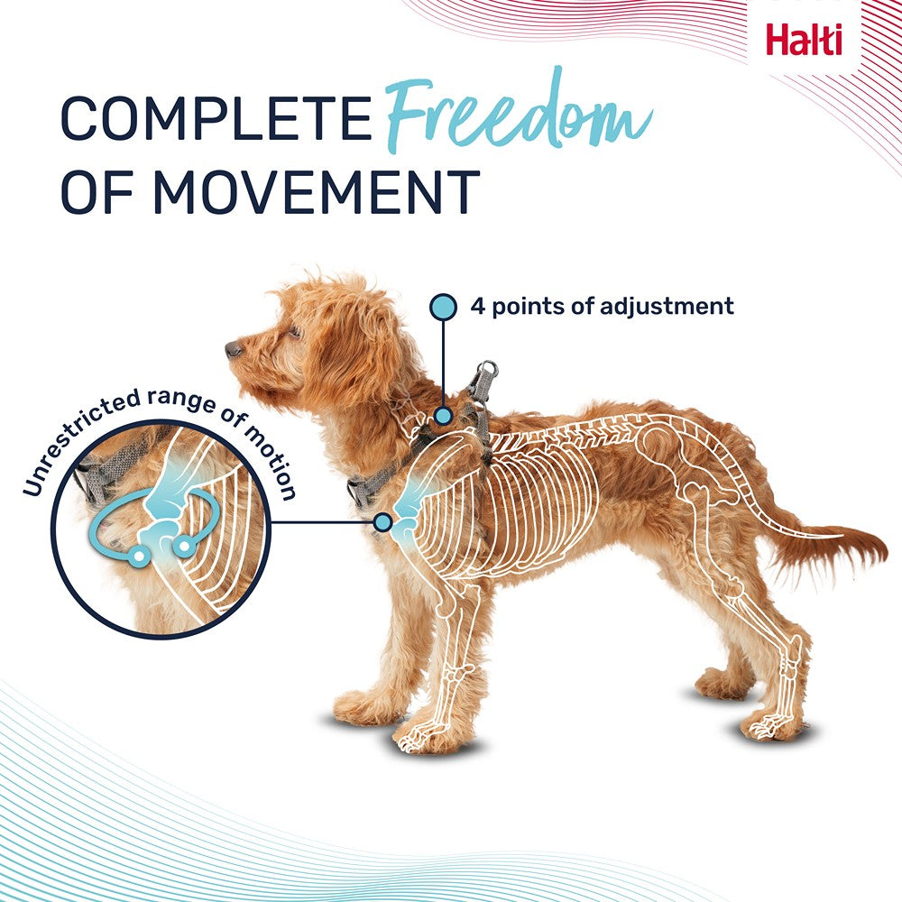 Halti Anatomy Dog Harness Grey