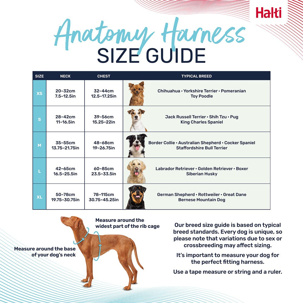 Halti Anatomy Dog Harness Teal