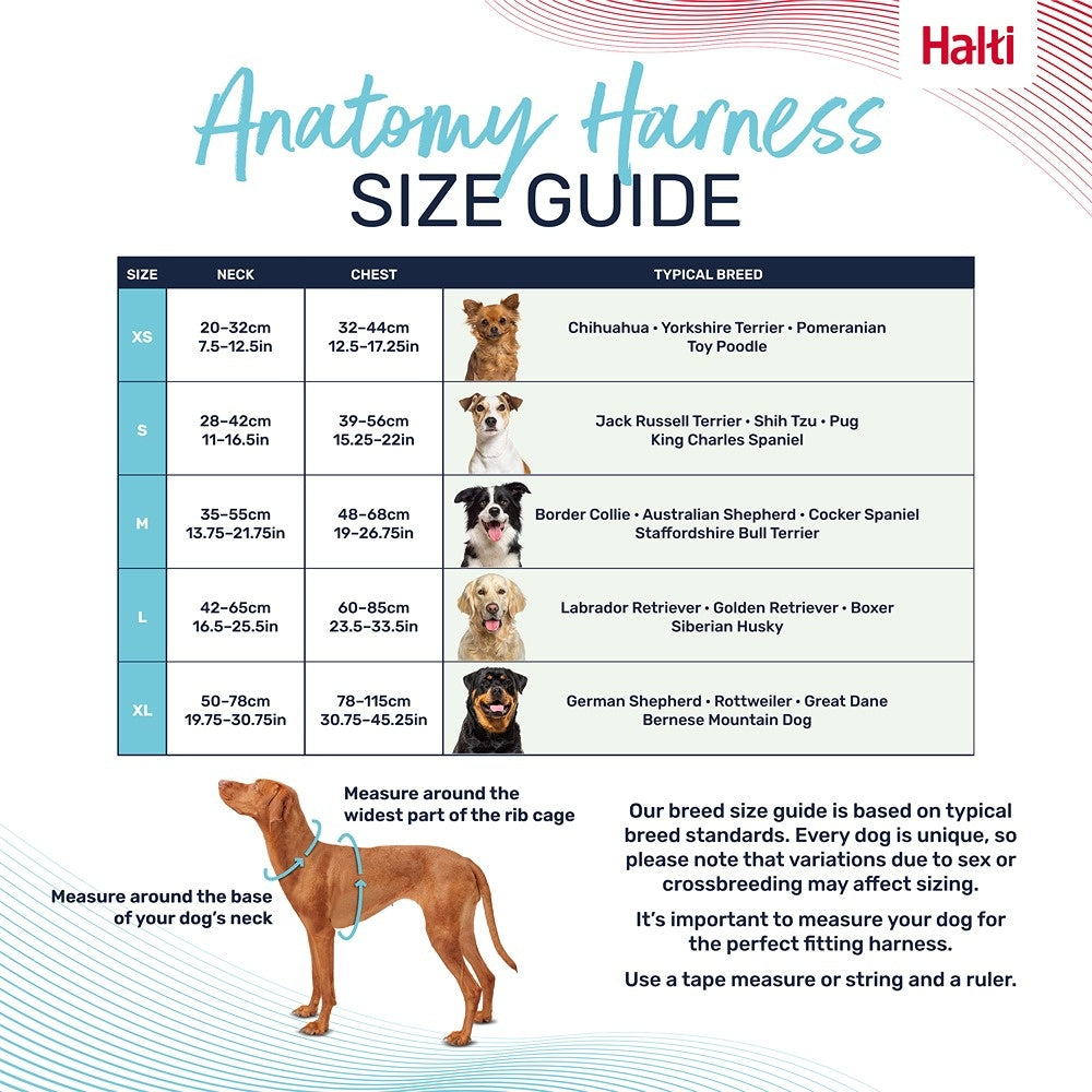 Halti Anatomy Dog Harness Teal