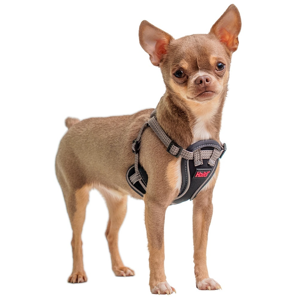Halti Anatomy Puppy Dog Harness Grey