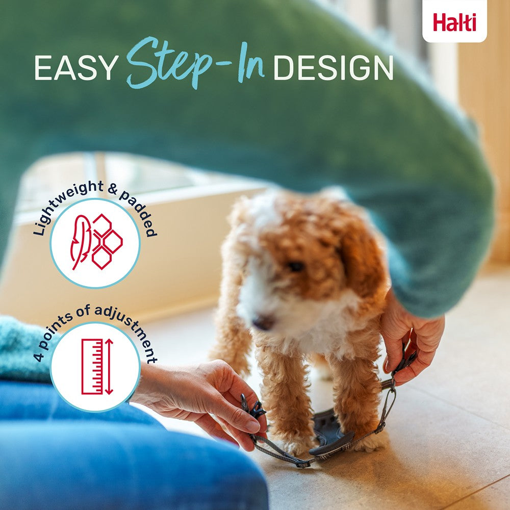 Halti Anatomy Puppy Dog Harness Grey