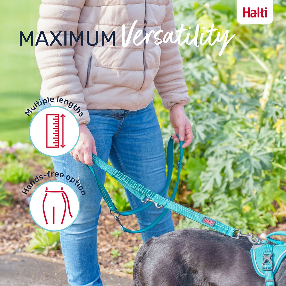 Halti Anatomy Multi Dog Lead Grey