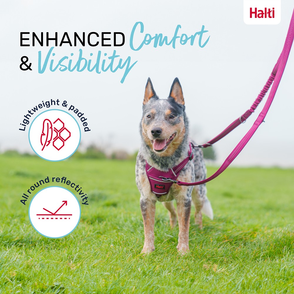 Halti Anatomy Multi Dog Lead Teal