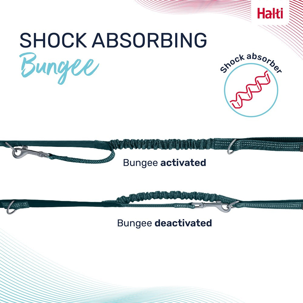 Halti Anatomy Multi Dog Lead Teal