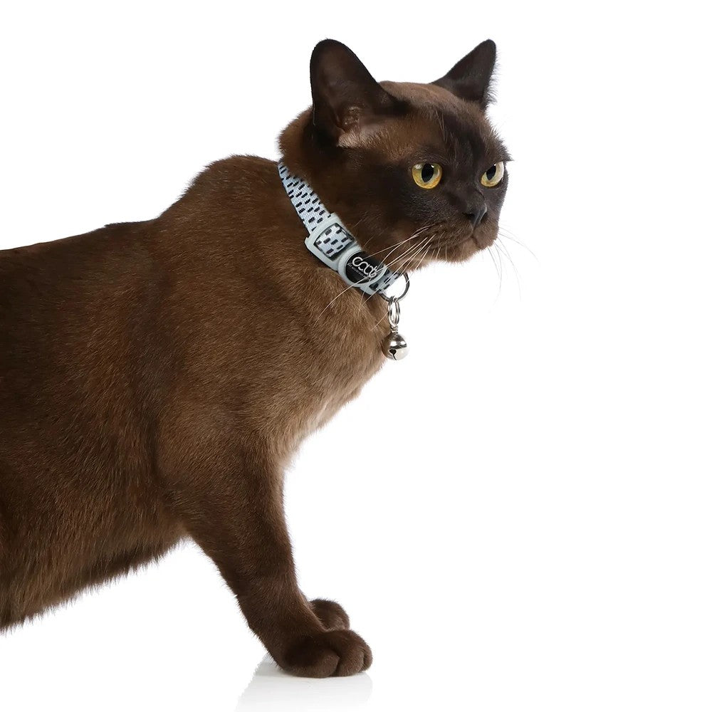 CAAT Nylon Cat Collar Dash