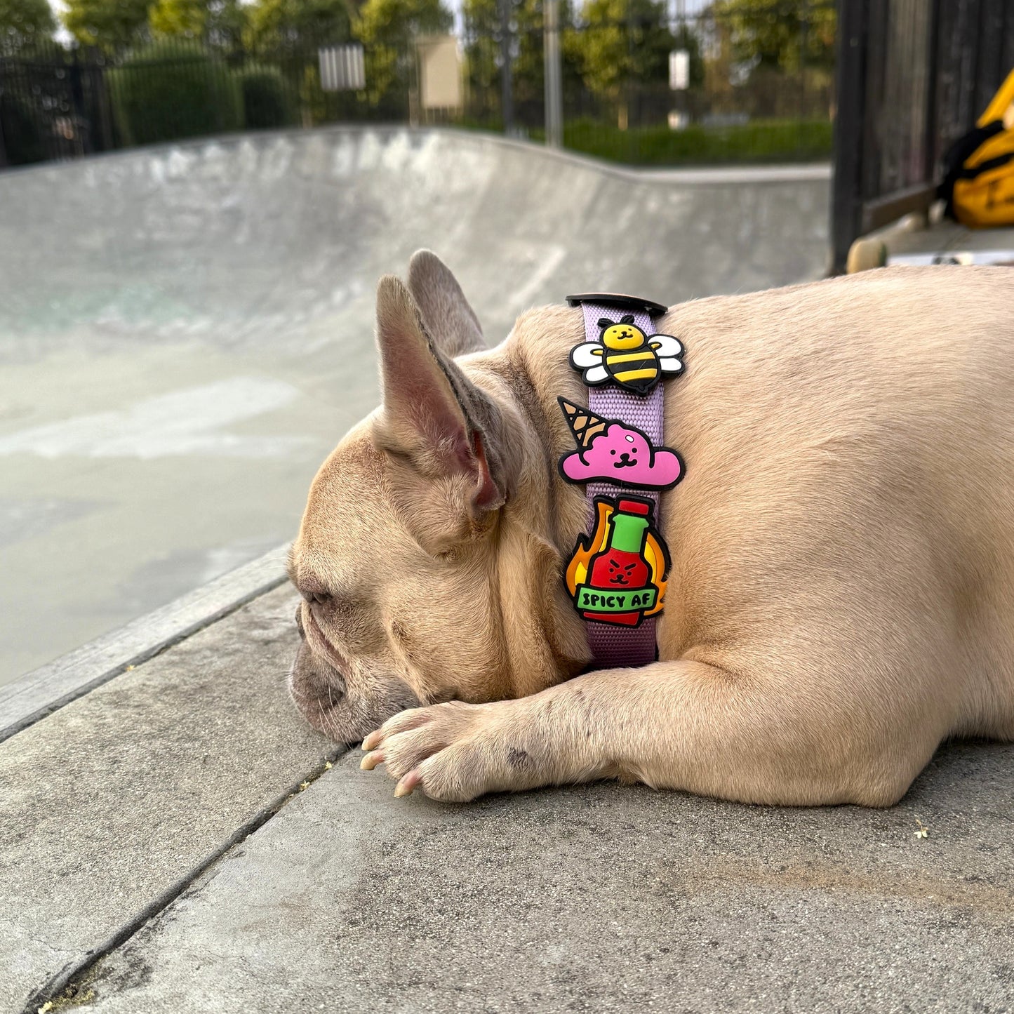 Jiby Spicy AF Dog Charm
