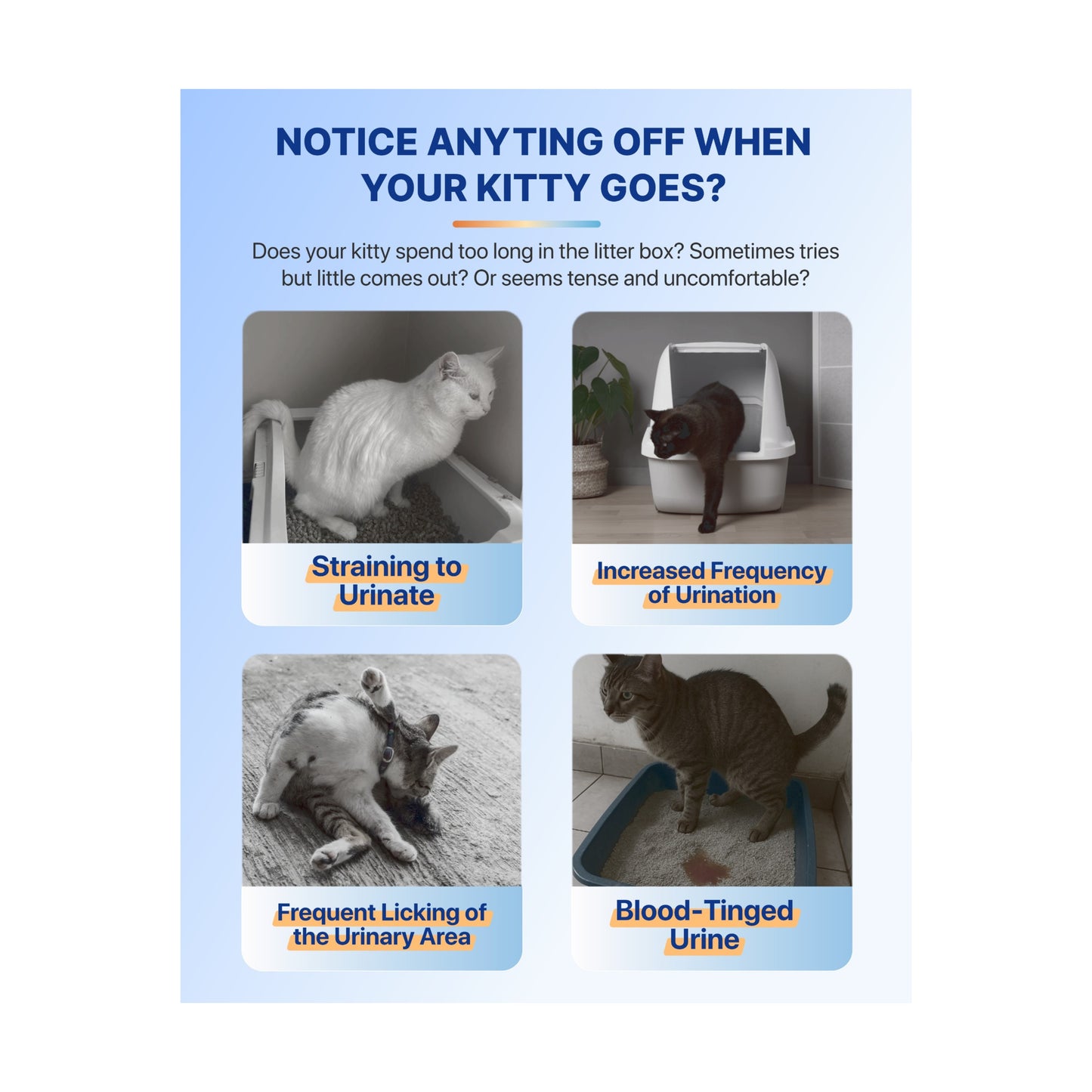 Michu Health Monitoring Tofu Cat Litter