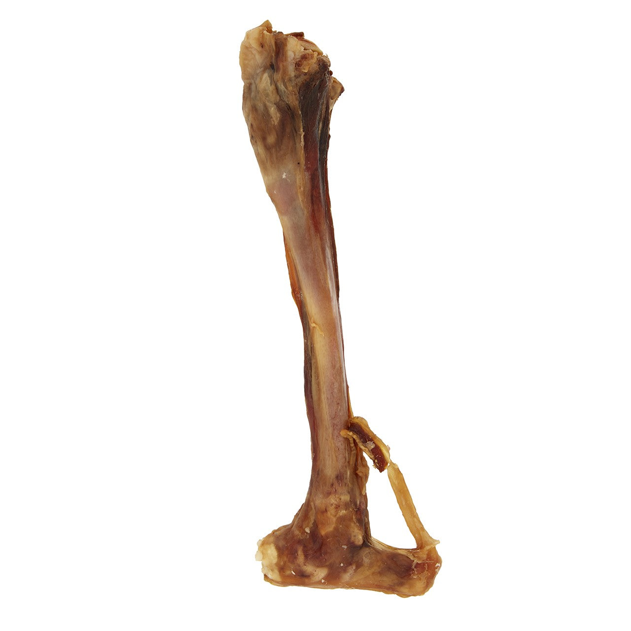 Dog n Bone Goat Straight Bone Dog Treat