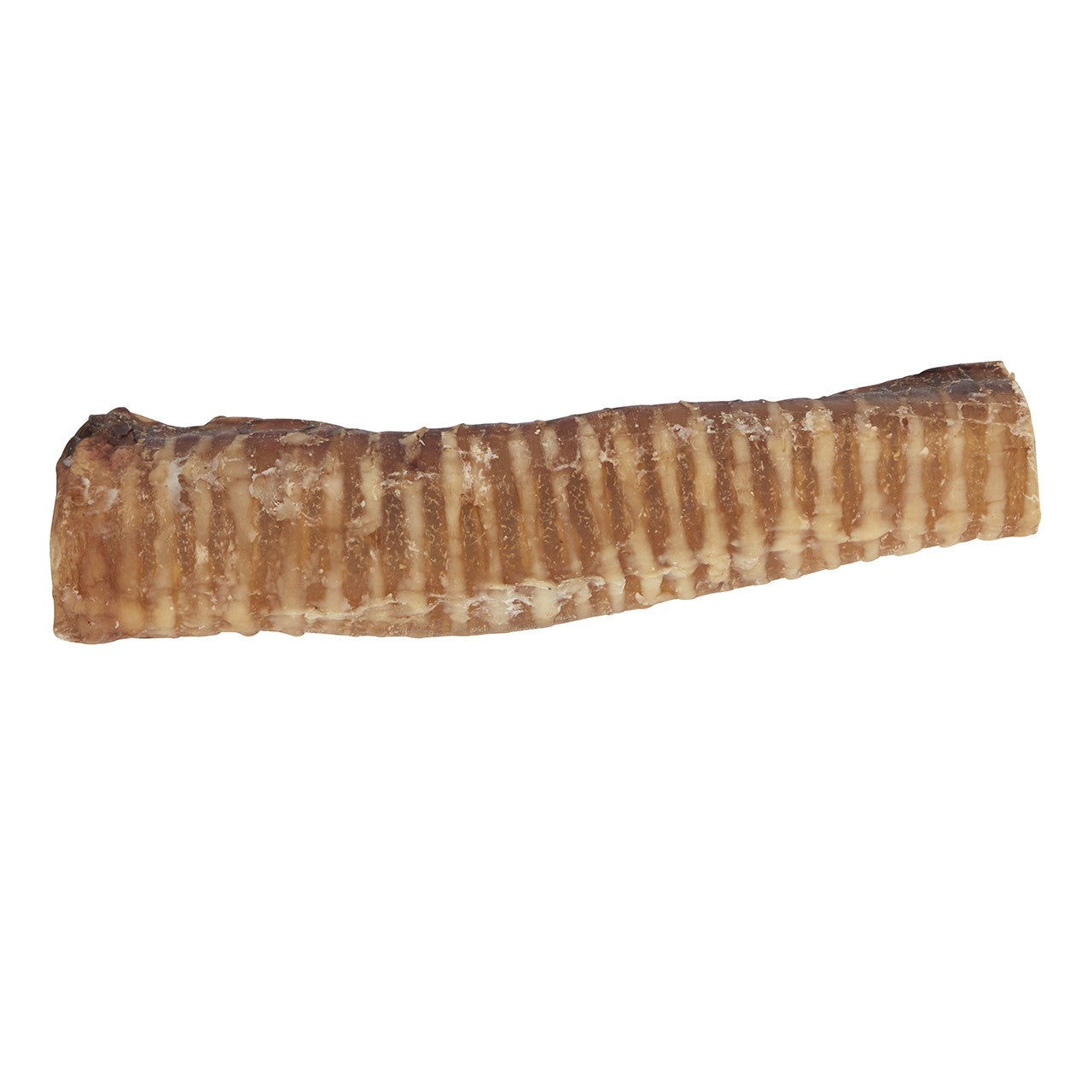 Dog n Bone Beef Trachea Dog Treat