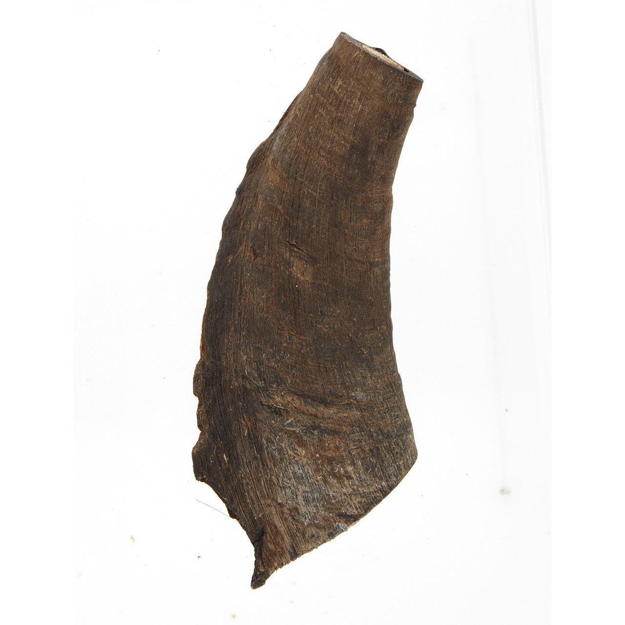 Dog n Bone Goat Horn Dog Treat