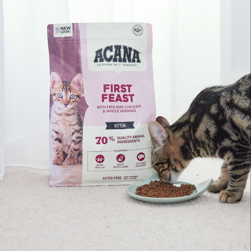 Acana Kitten First Feast Dry Cat Food