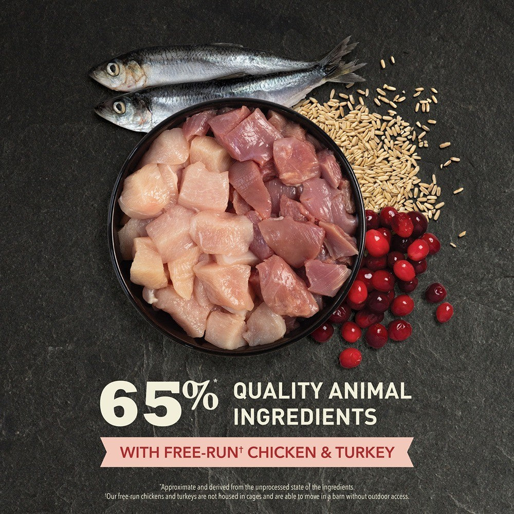 Acana Indoor Entrée Chicken & Turkey Dry Cat Food