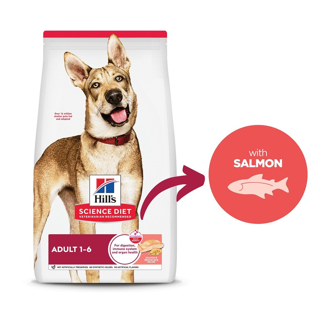 Hill's Science Diet Adult Salmon & Brown Rice Recipe Dry Dog Food