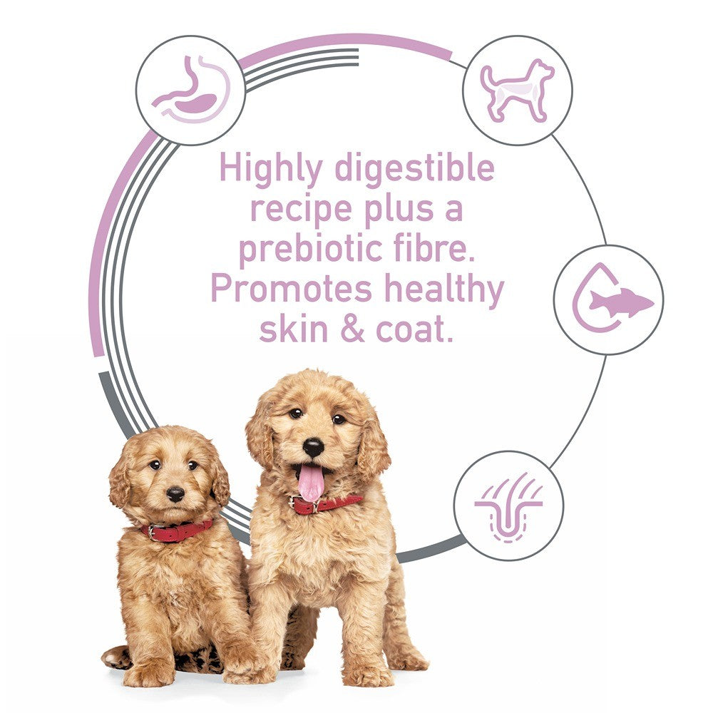 Hill's Science Diet Puppy Sensitive Stomach & Skin Salmon Dry Dog Food
