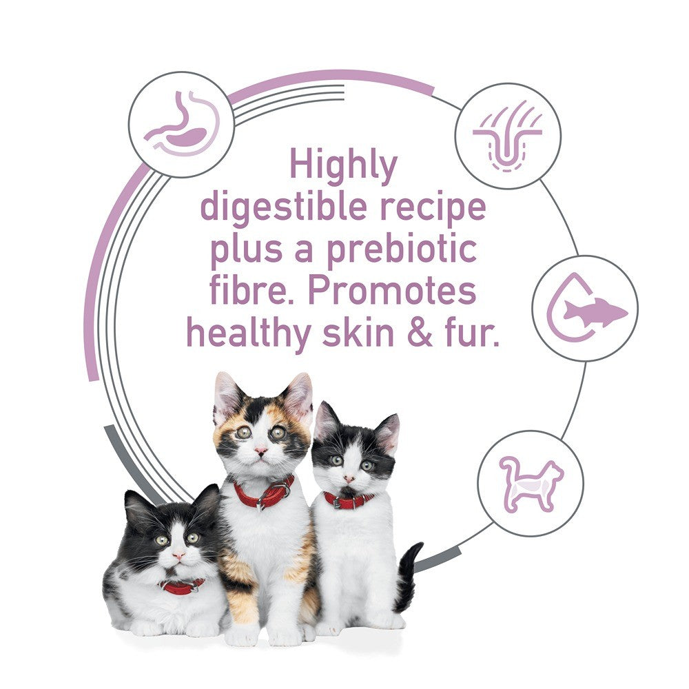 Hill's Science Diet Kitten Sensitive Stomach & Skin Salmon Dry Cat Food