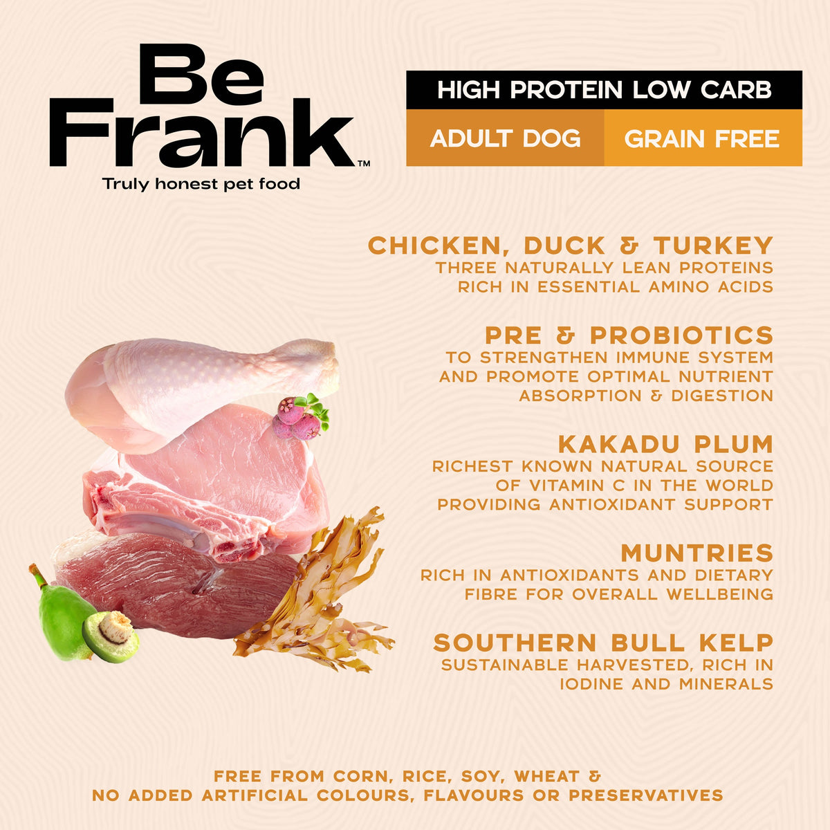 Be Frank Adult Native Harvest Poultry Blend Dry Dog Food