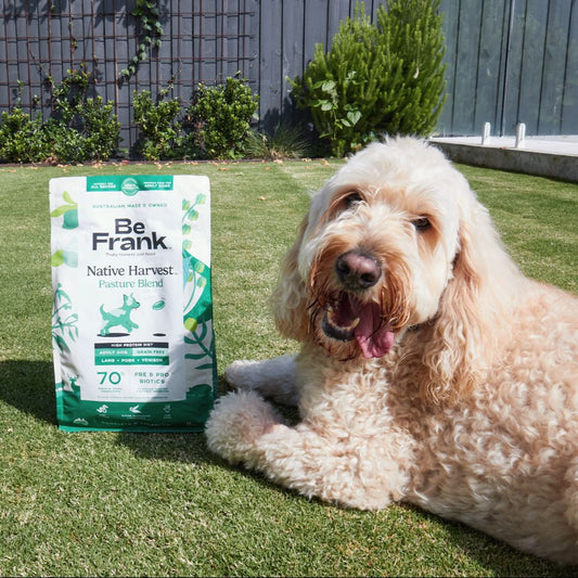 Be Frank Adult Native Harvest Pasture Blend Dry Dog Food