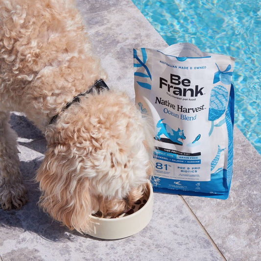 Be Frank Native Harvest Ocean Blend Dry Dog Food