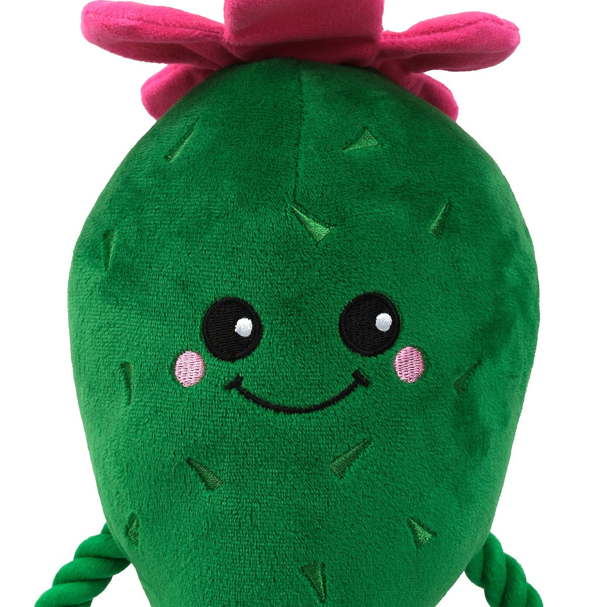 Lexi & Me Cactus Plush & Rope Dog Toy