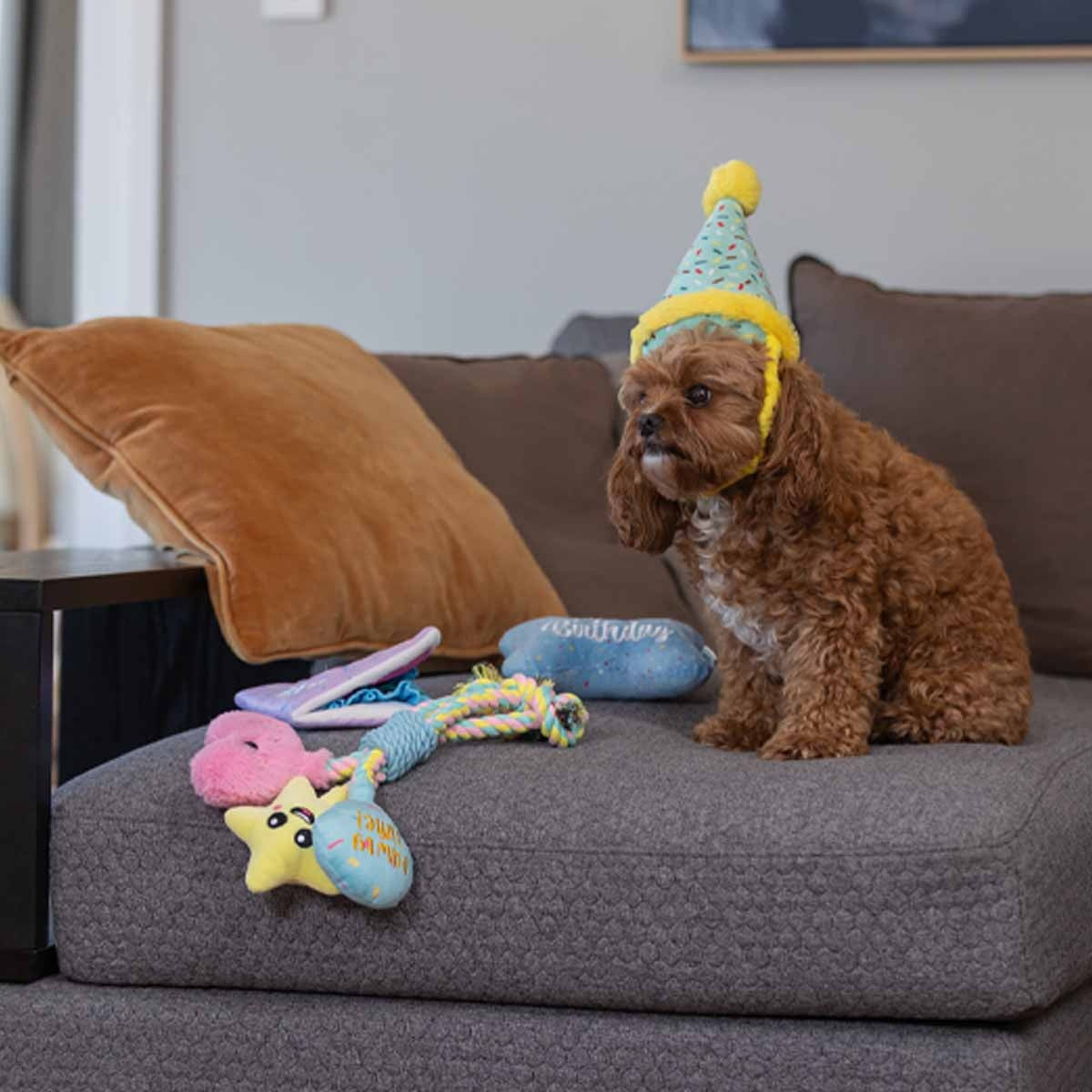 Lexi & Me Party Hat Plush Dog Toy