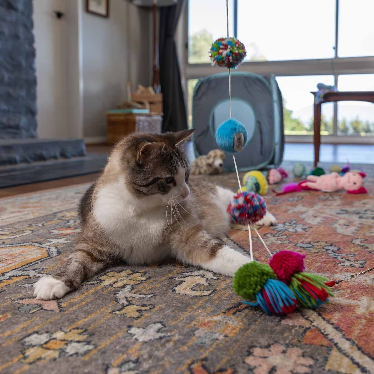 Lexi & Me Pom-Pom Cat Teaser Wand Toy