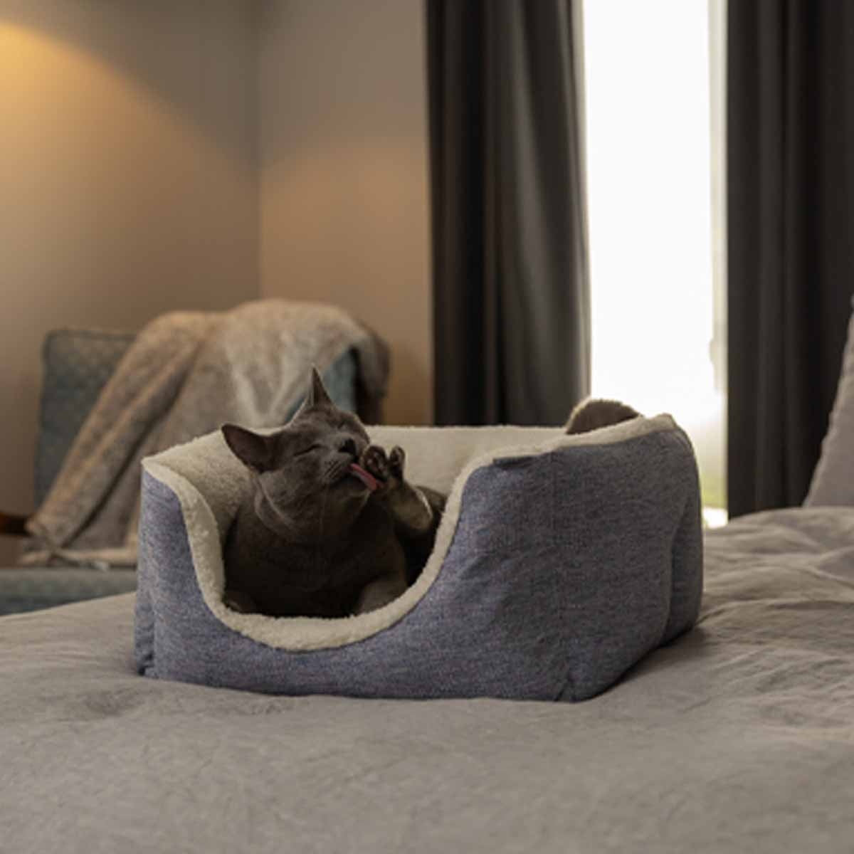 Lexi & Me High Wall Dog Bed