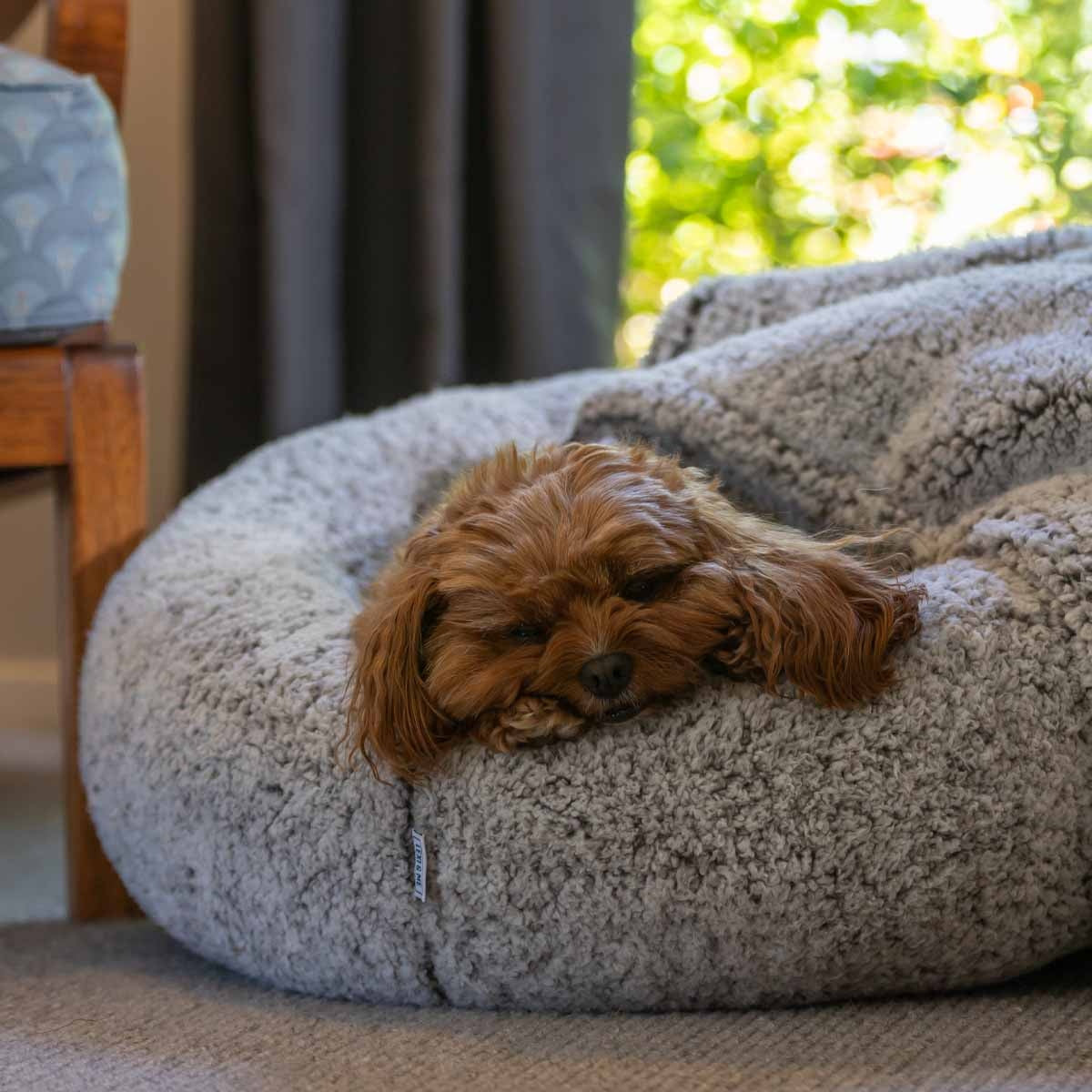 Lexi & Me Sherpa Dog Blanket