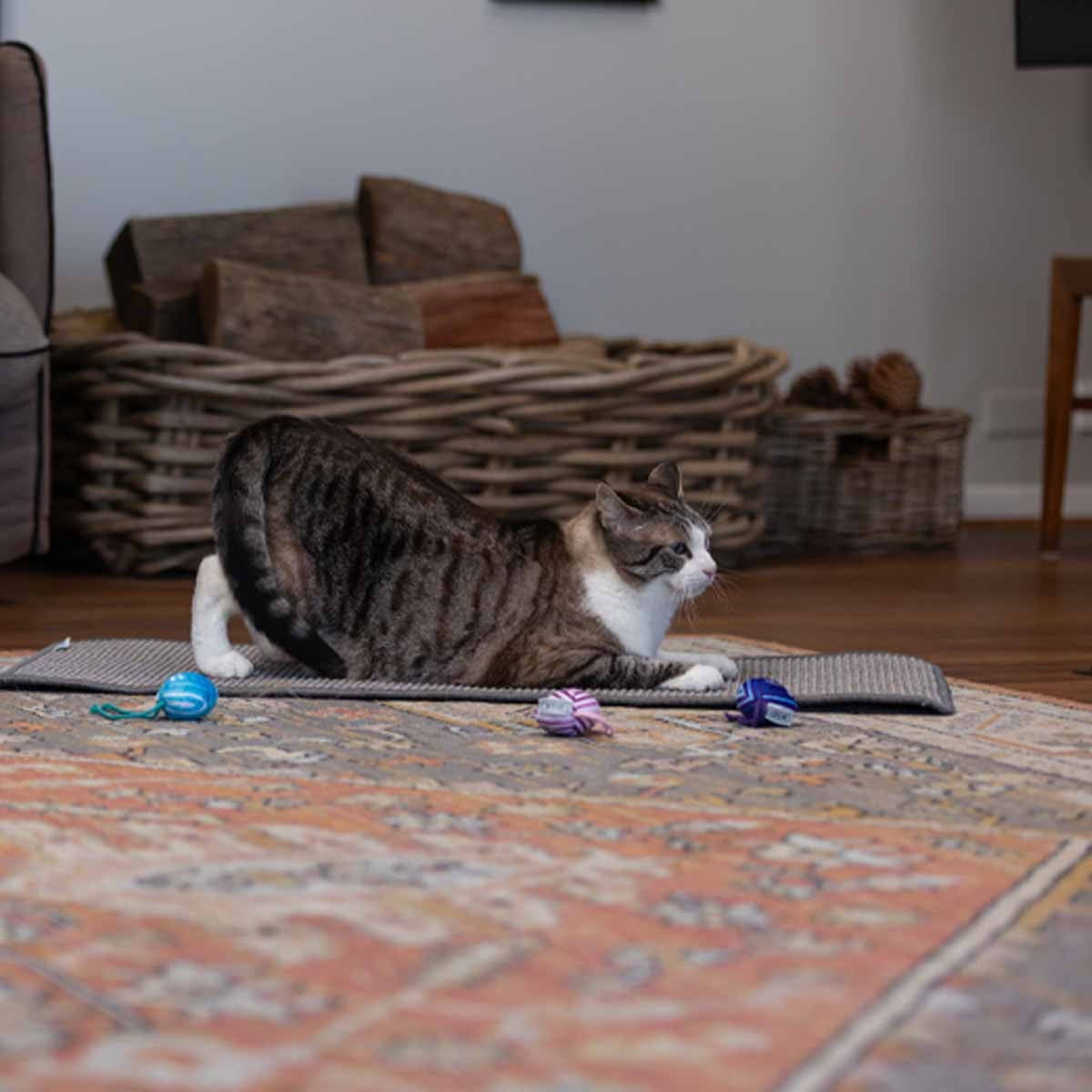 Lexi & Me Cat Scratcher Mat