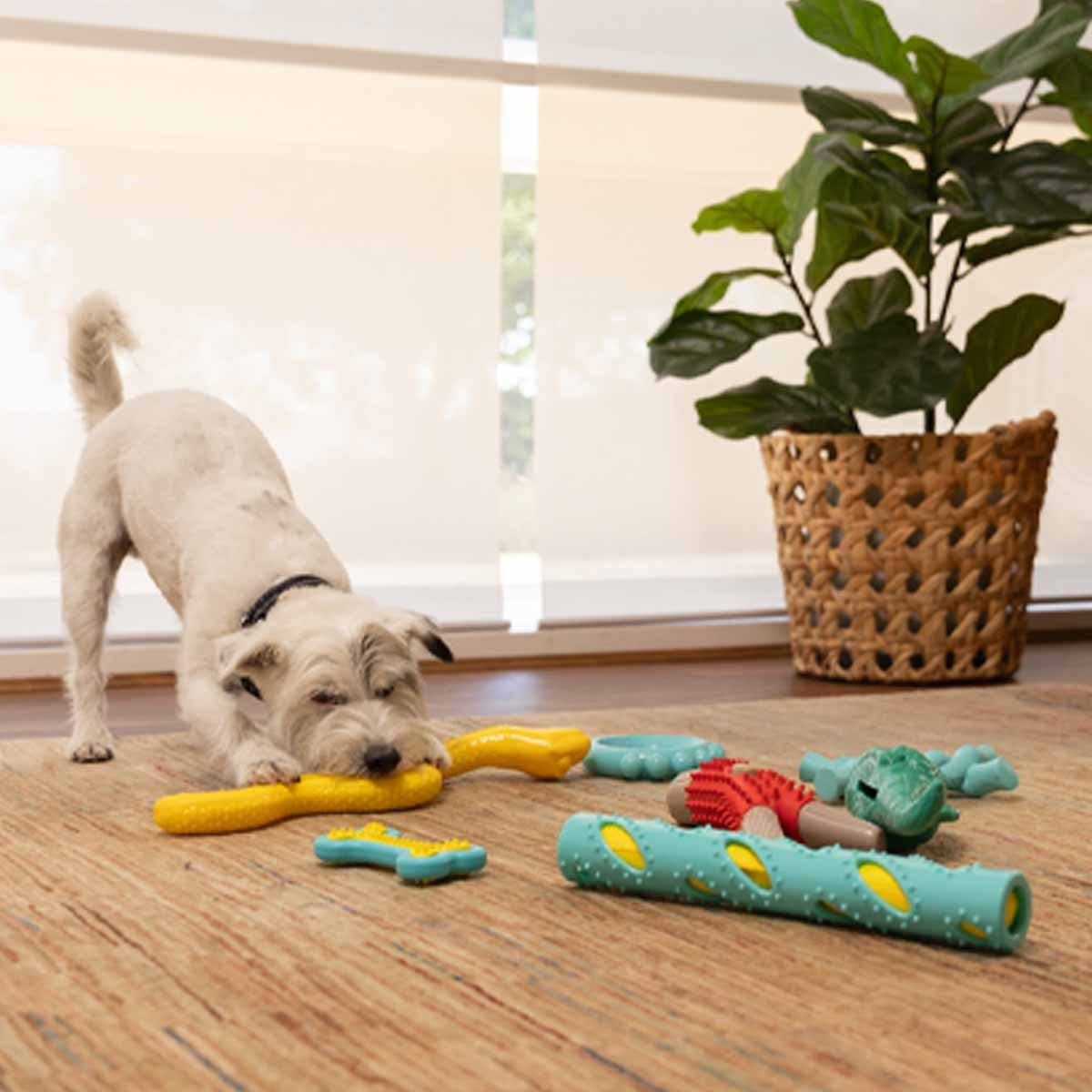 Lexi & Me Snake Rubber Treat Dog Toy