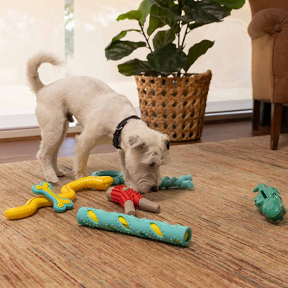 Lexi & Me Wishbone Tough Chew Dog Toy