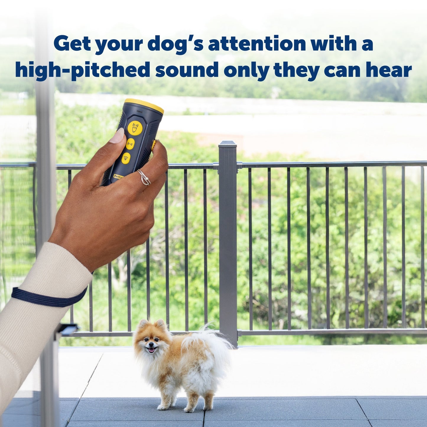 PetSafe Ultrasonic Collarless Trainer