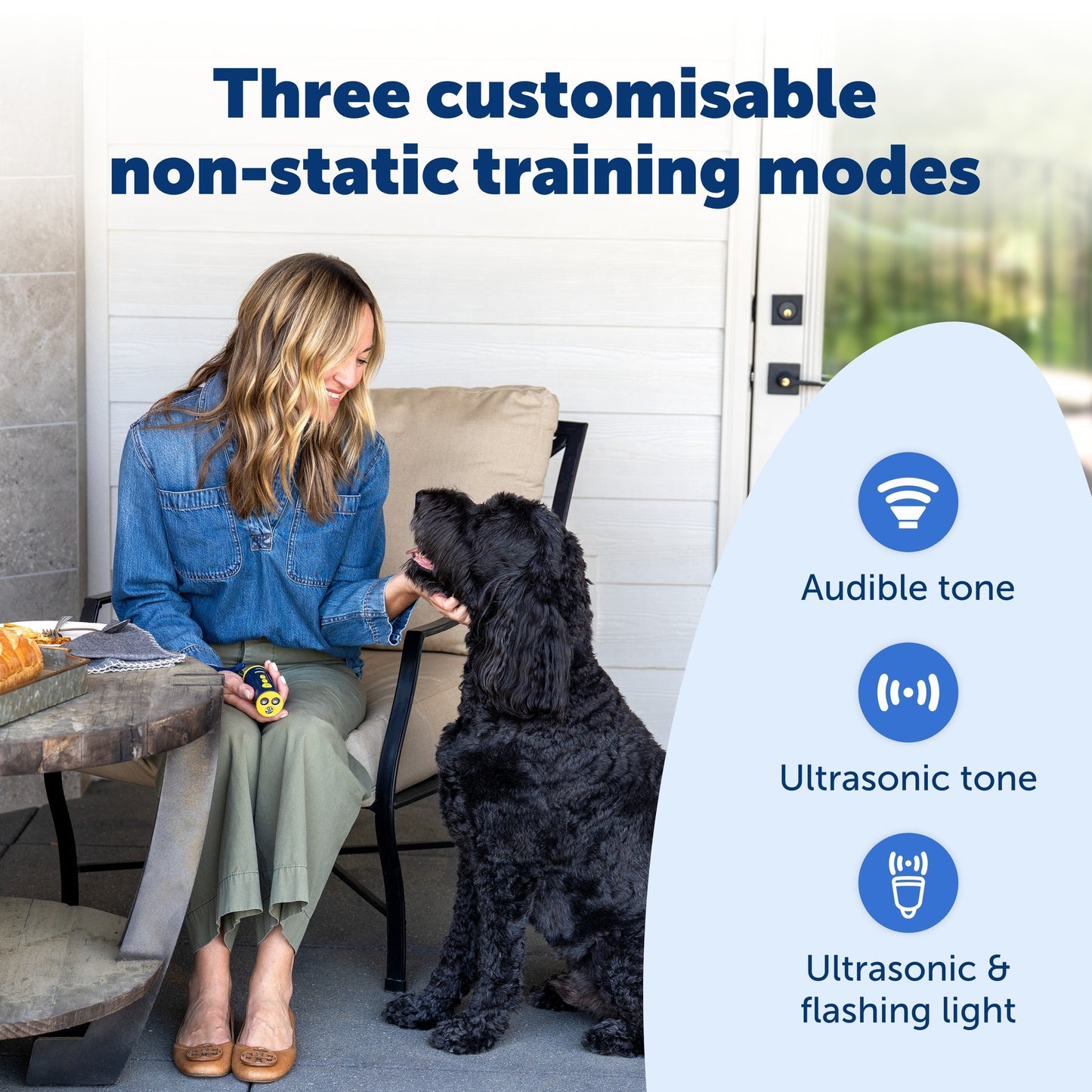 PetSafe Ultrasonic Collarless Trainer