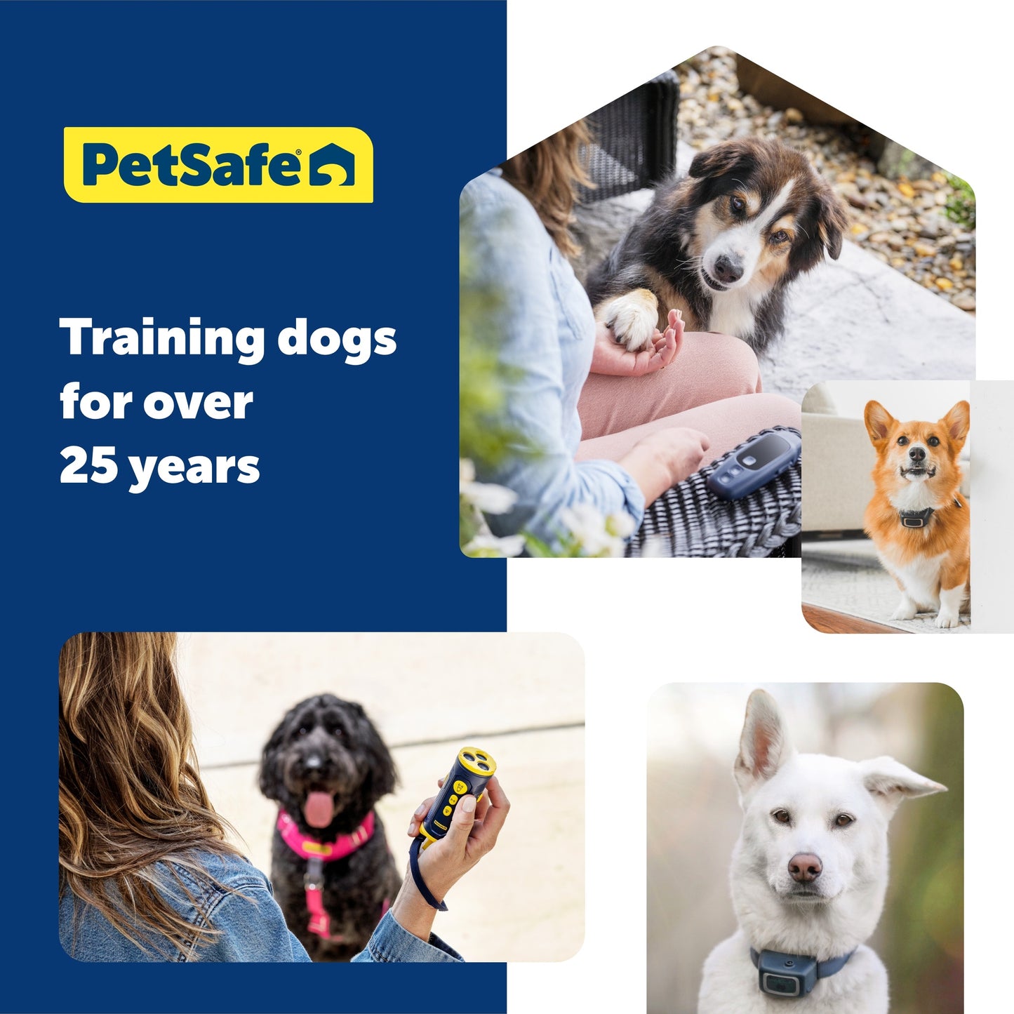 PetSafe Ultrasonic Collarless Trainer