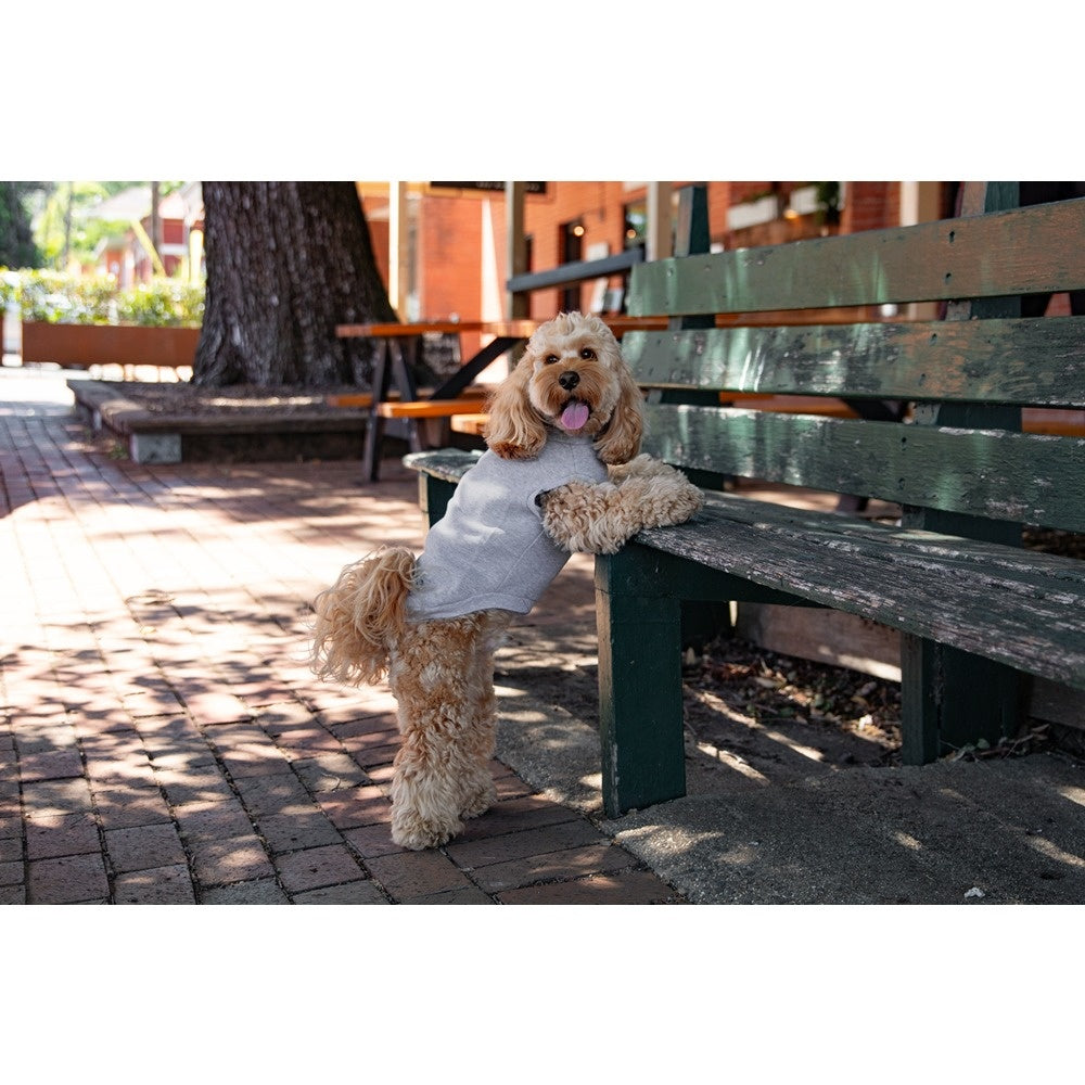 DGG Jersey Huggie Dog Jumper Marle Grey