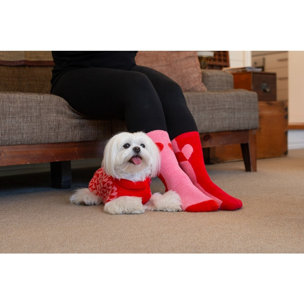 DGG Hooman Bed Socks Sweetheart One Size