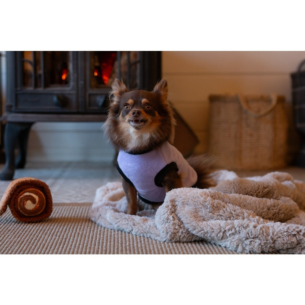 DGG Warmie Dog Jumper Lilac