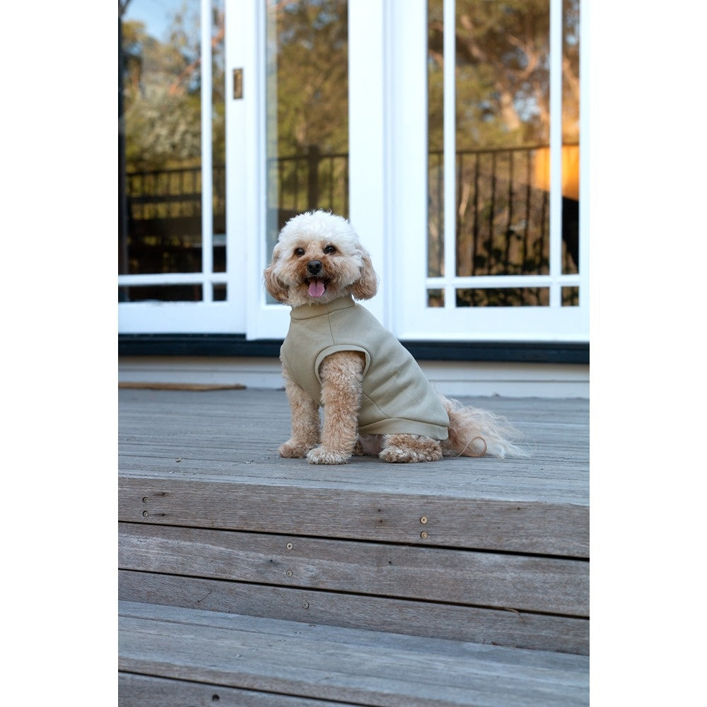 DGG Jersey Huggie Dog Jumper Sand Grey