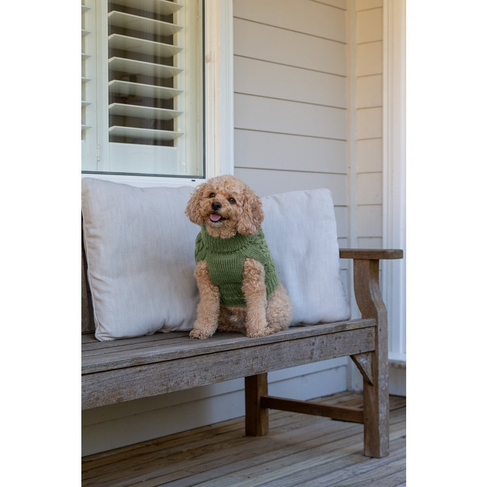 DGG Chunky Knit Dog Jumper Winter Sage