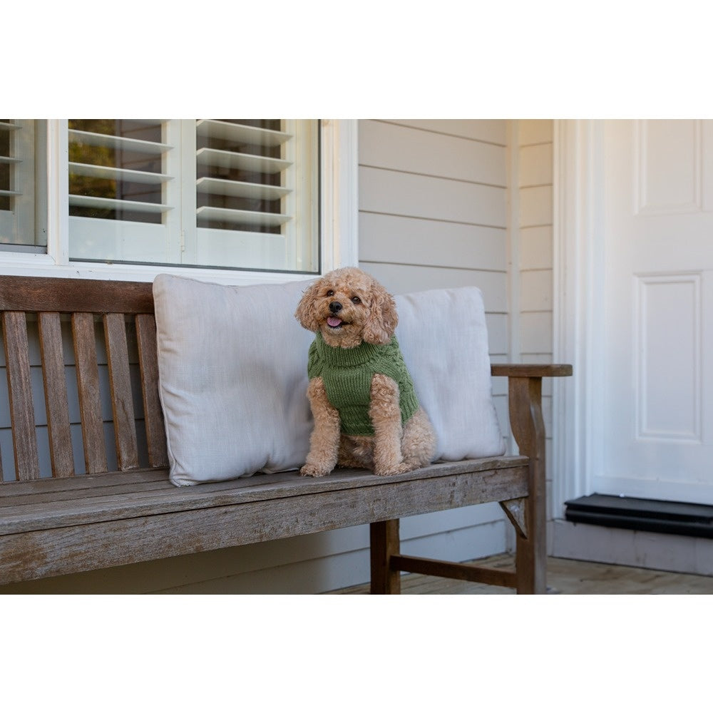 DGG Chunky Knit Dog Jumper Winter Sage