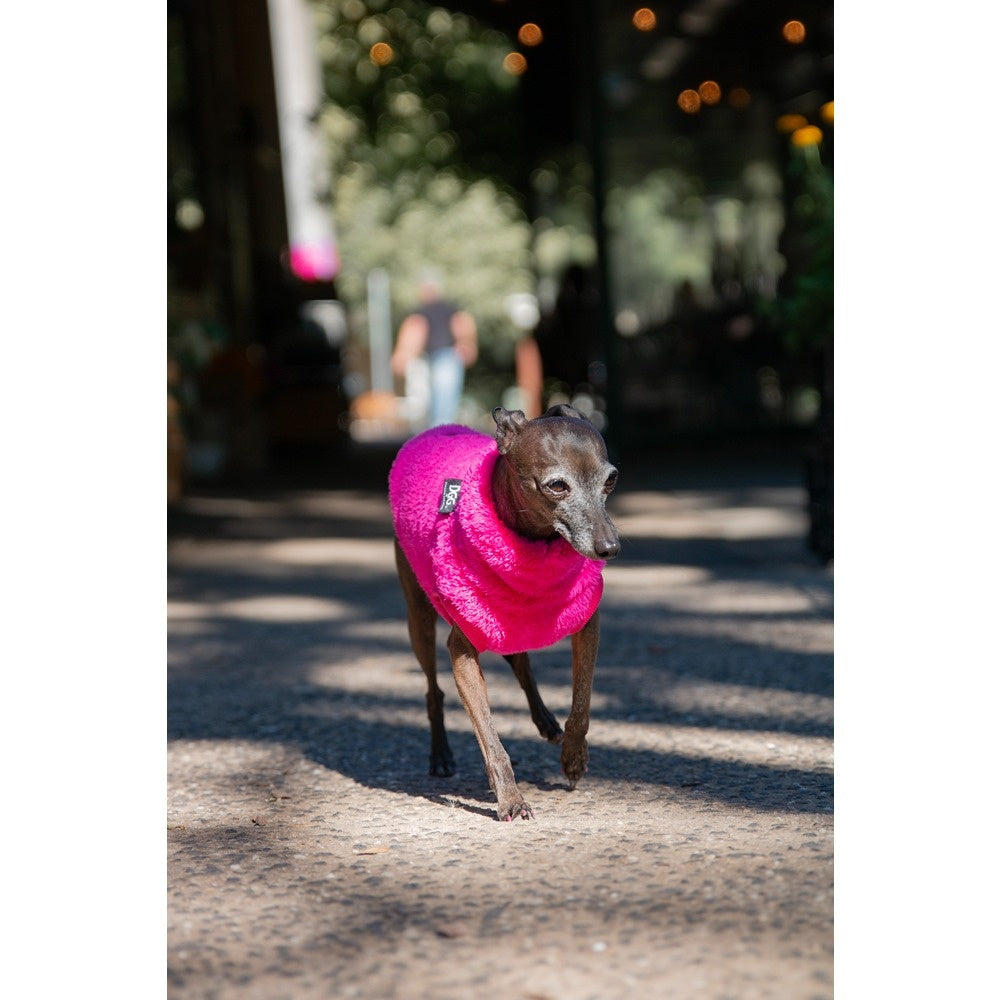 DGG Snuggly Dog Jumper Hot Winters Day
