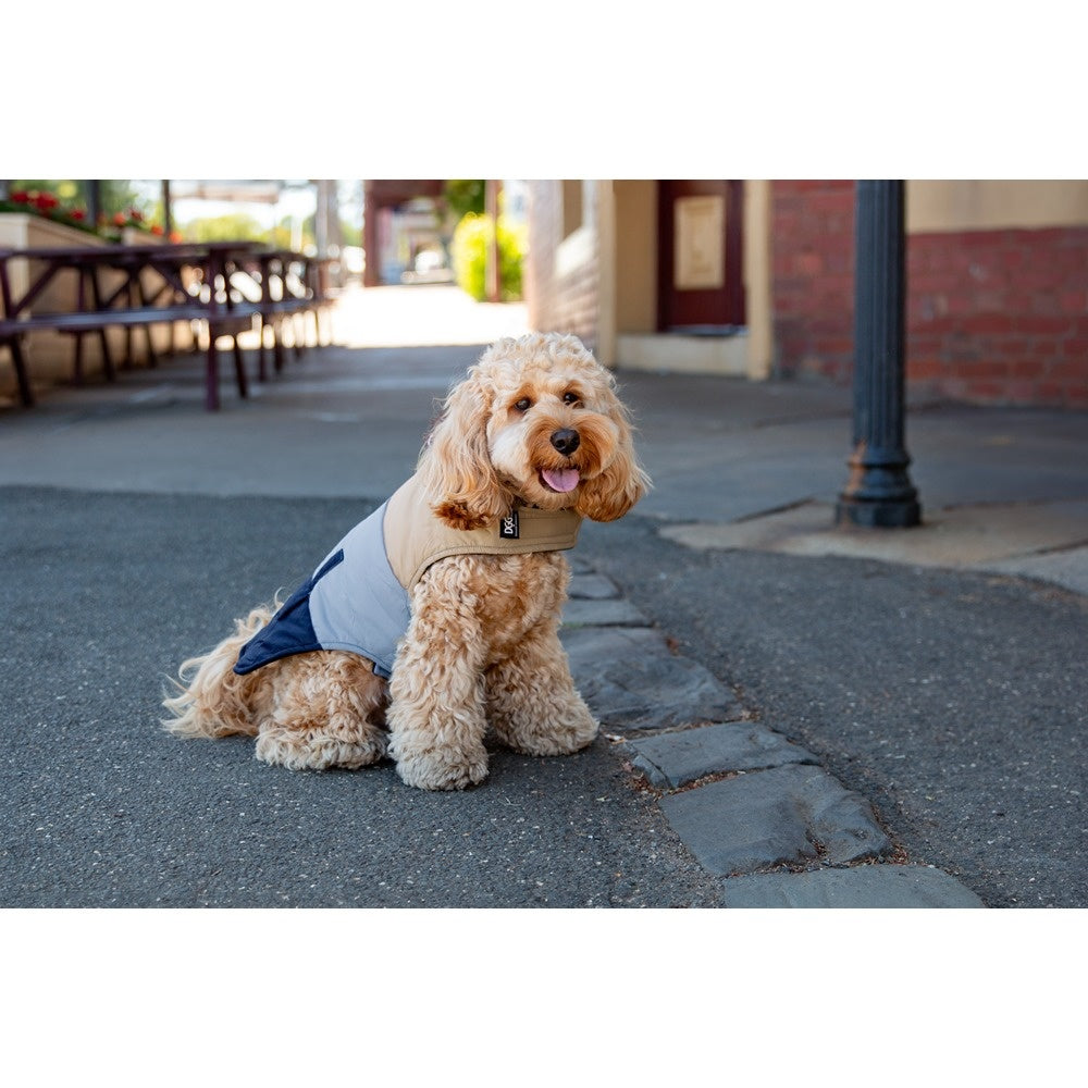 DGG Fashionista Dog Jacket Tri Colour - Blue Toastie