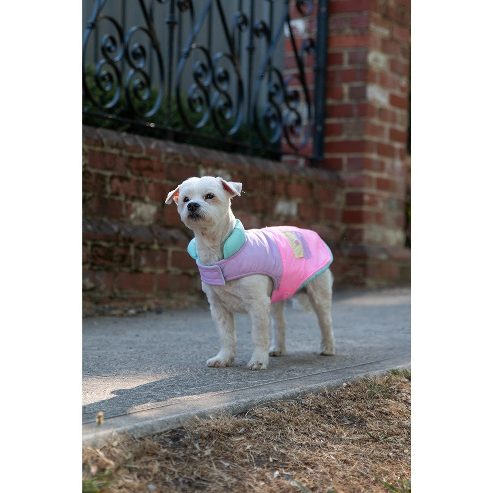 DGG Fashionista Dog Jacket Electrify