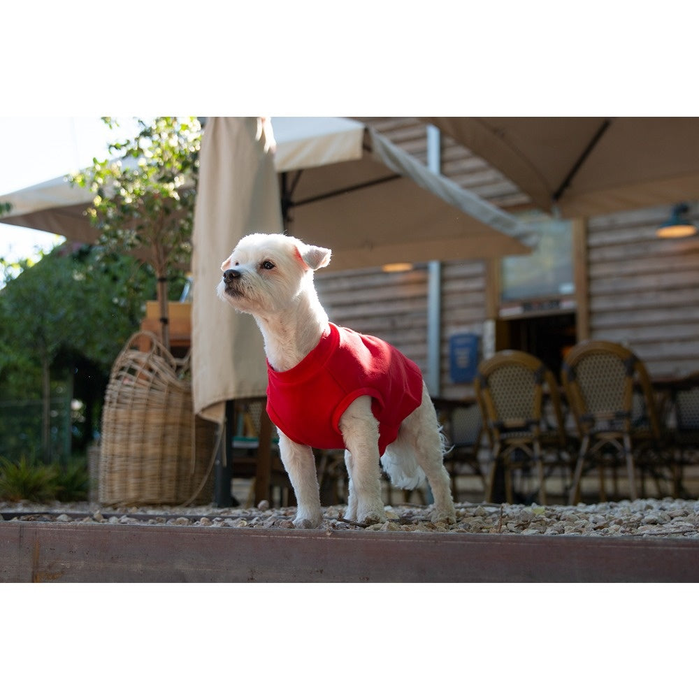 DGG Jersey Huggie Dog Jumper Red