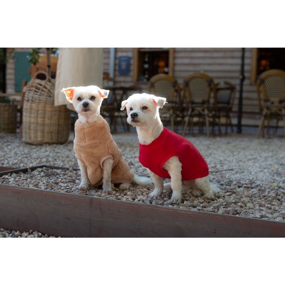 DGG Jersey Huggie Dog Jumper Red