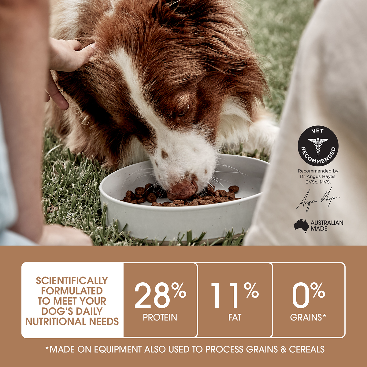 Ivory Coat Grain Free Healthy Weight Chicken Adult Dog Dry Food
