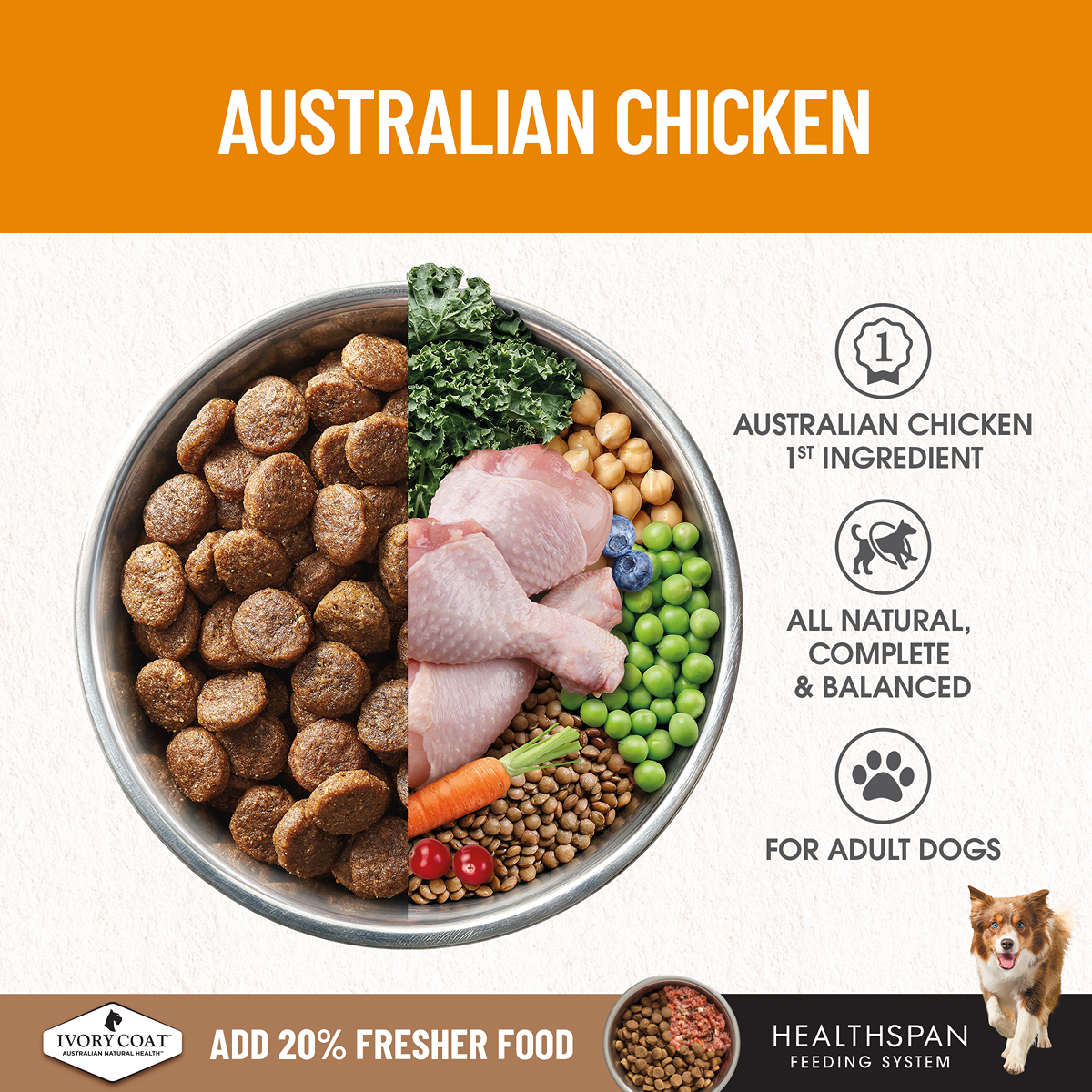 Ivory Coat Grain Free Healthy Weight Chicken Adult Dog Dry Food